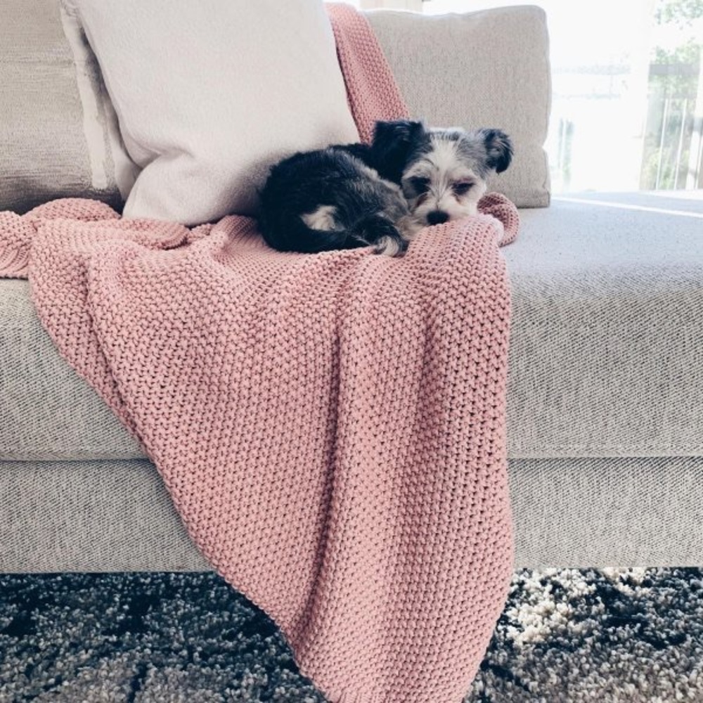 West Elm Pink Throw